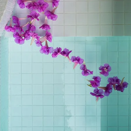 Villa Nok Award Winning 4br Wih Pool At Getsemani *