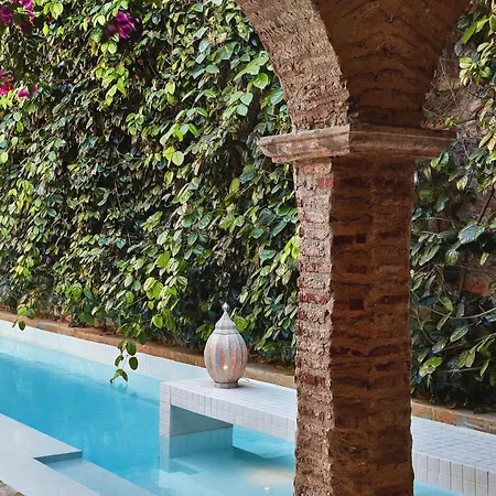 Nok Award Winning 4br Wih Pool At Getsemani