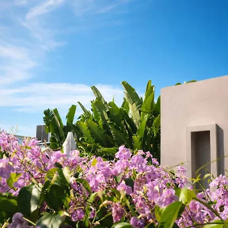 Villa Nok Award Winning 4br Wih Pool At Getsemani *