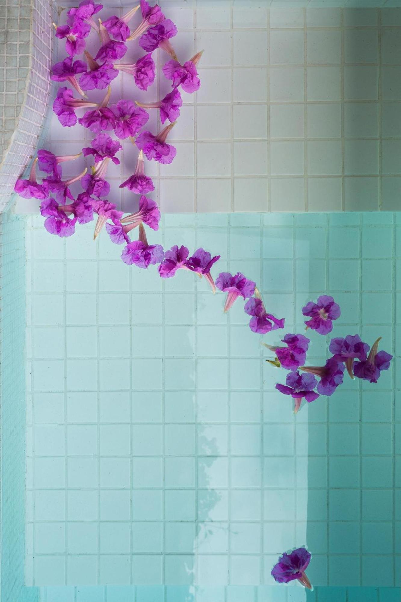 Villa Nok Award Winning 4br Wih Pool At Getsemani *