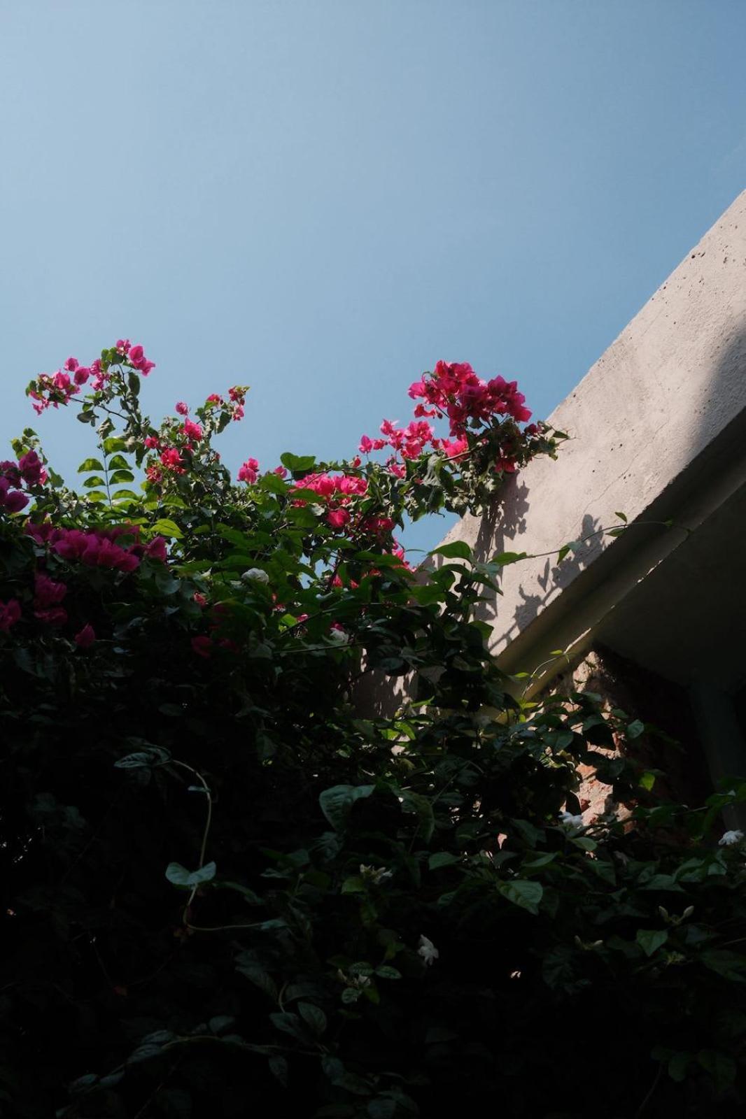 Villa Nok Award Winning 4br Wih Pool At Getsemani *