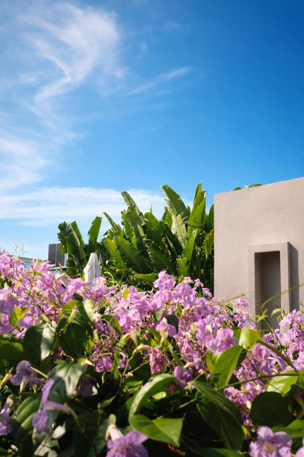 Villa Nok Award Winning 4br Wih Pool At Getsemani *